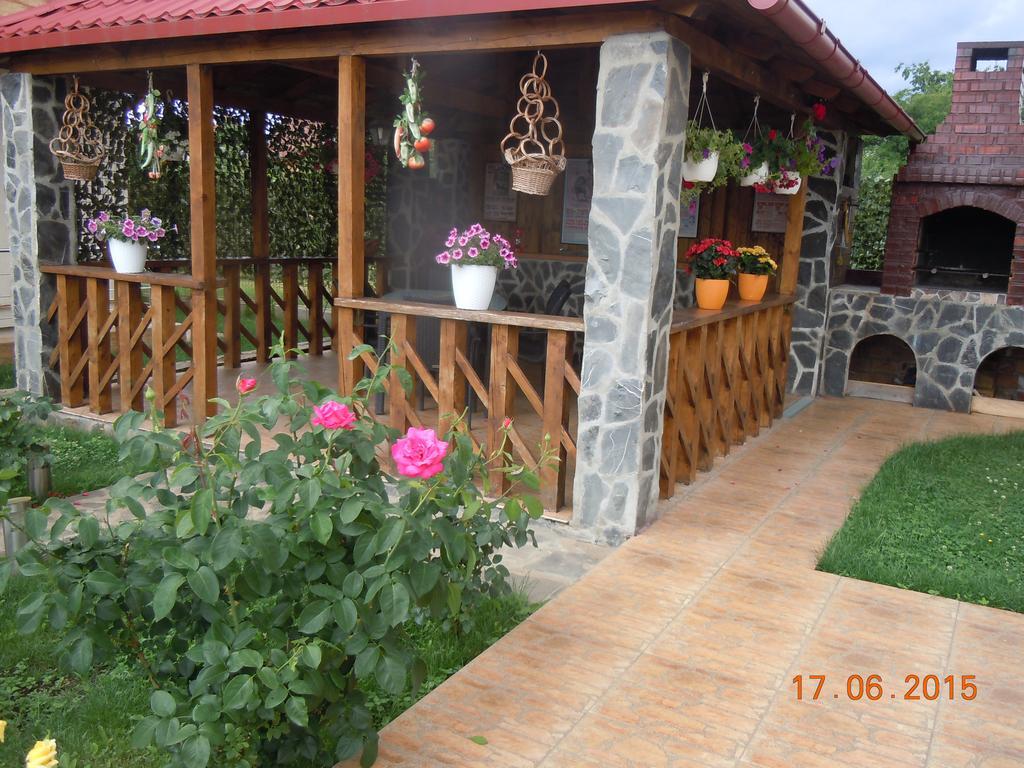 Pensiunea Marina Câmpina Extérieur photo