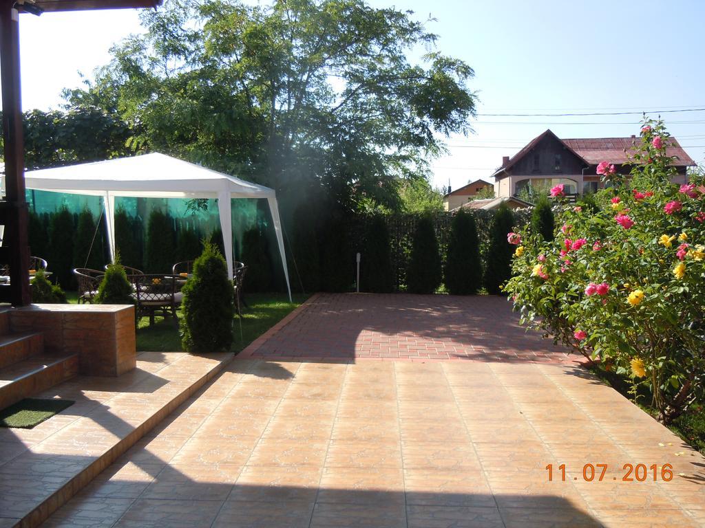 Pensiunea Marina Câmpina Extérieur photo