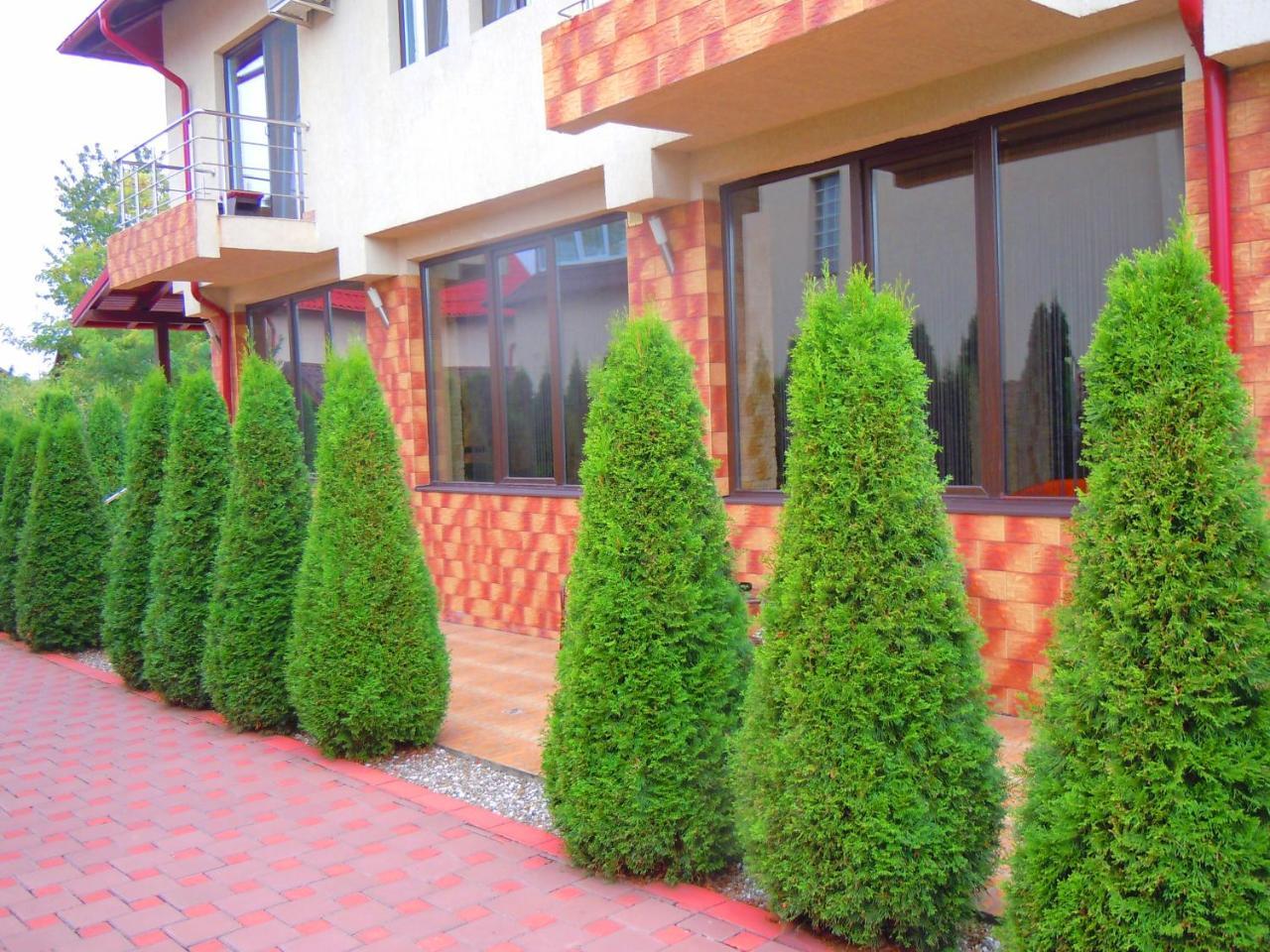 Pensiunea Marina Câmpina Extérieur photo